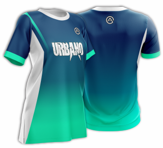 Remera institucional